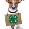 Genesee County 4-H Dog Club Meet in 2016 4-HAnimalScienceDog