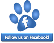 facebook-follow-paw-175