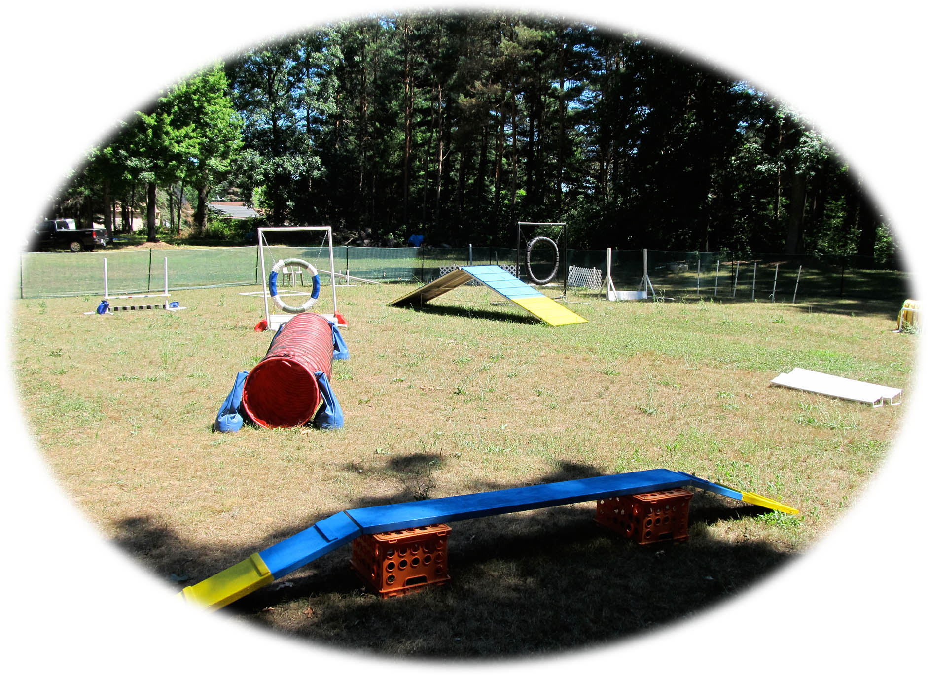 Woof Woods Dog Park | Key-Lore - A full service animal care facility